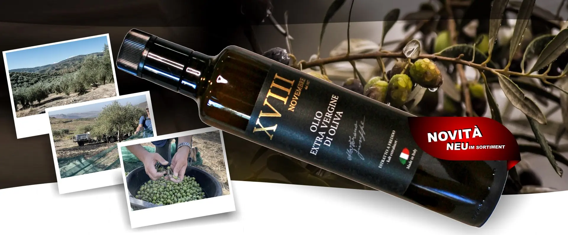 Olio 15Nov Martorana