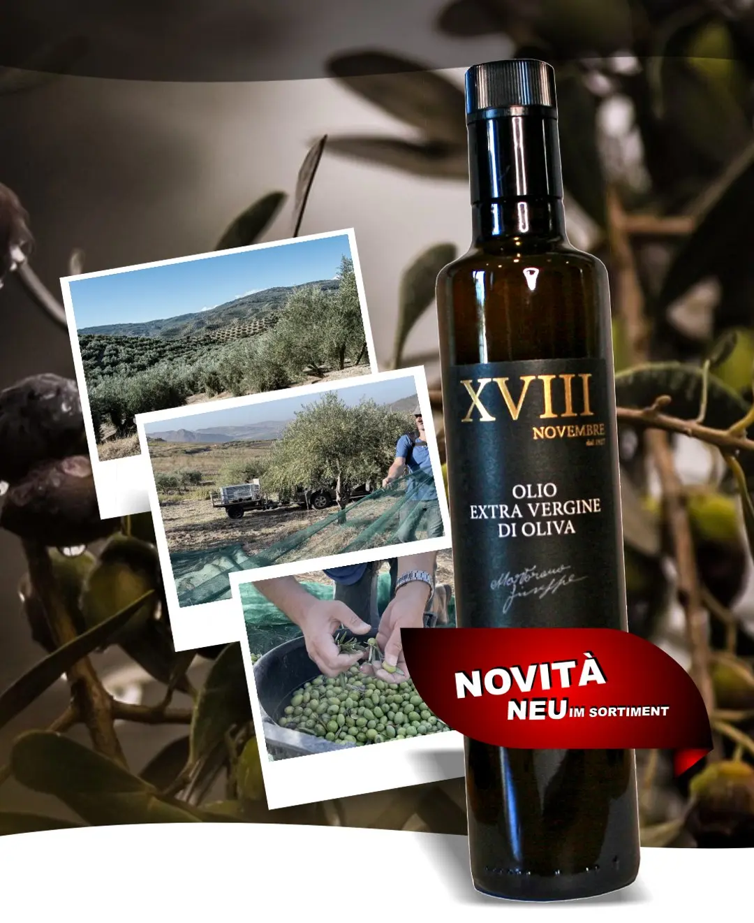 Olio 15Nov Martorana