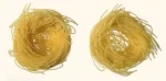 Rummo Capelli D Angelo Nidi