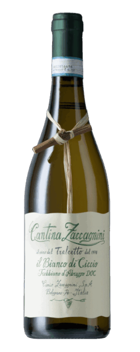 zaccagnini-tralcetto-trebbiano-bianco-di-ciccio