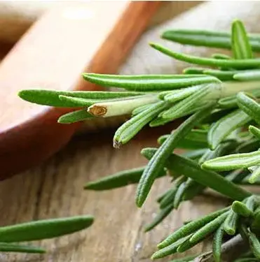 La Drogheria Rosmarino Foglie